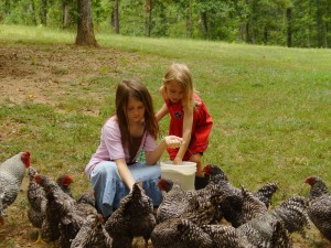 Mary and Beth feeding the chickens.