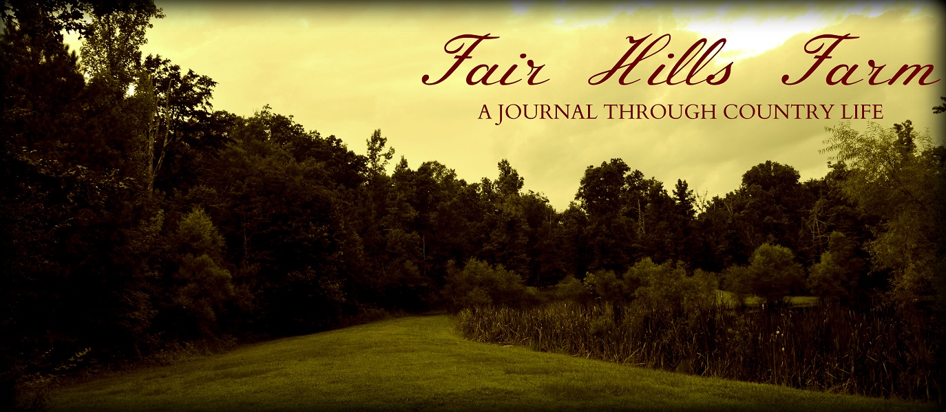 Fair Hills Farm